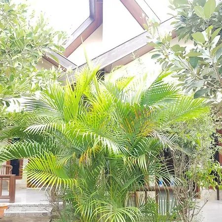Appartement Run Gilis à Gili Meno Extérieur photo